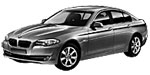 BMW F10 P1E79 Fault Code